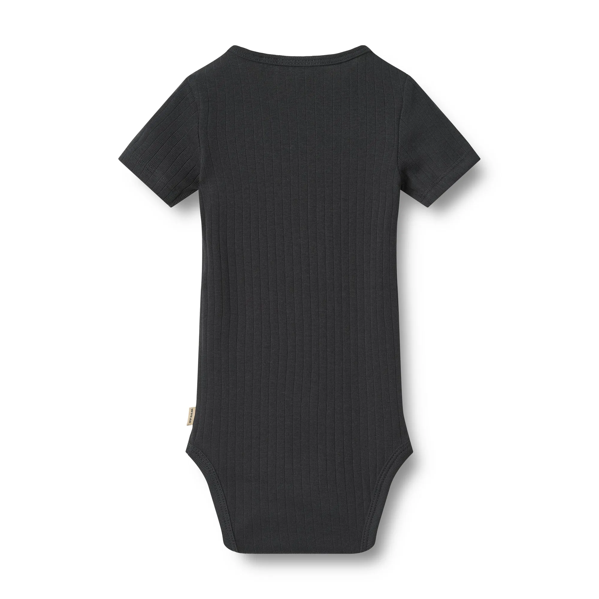 2 Rib Body Timo
