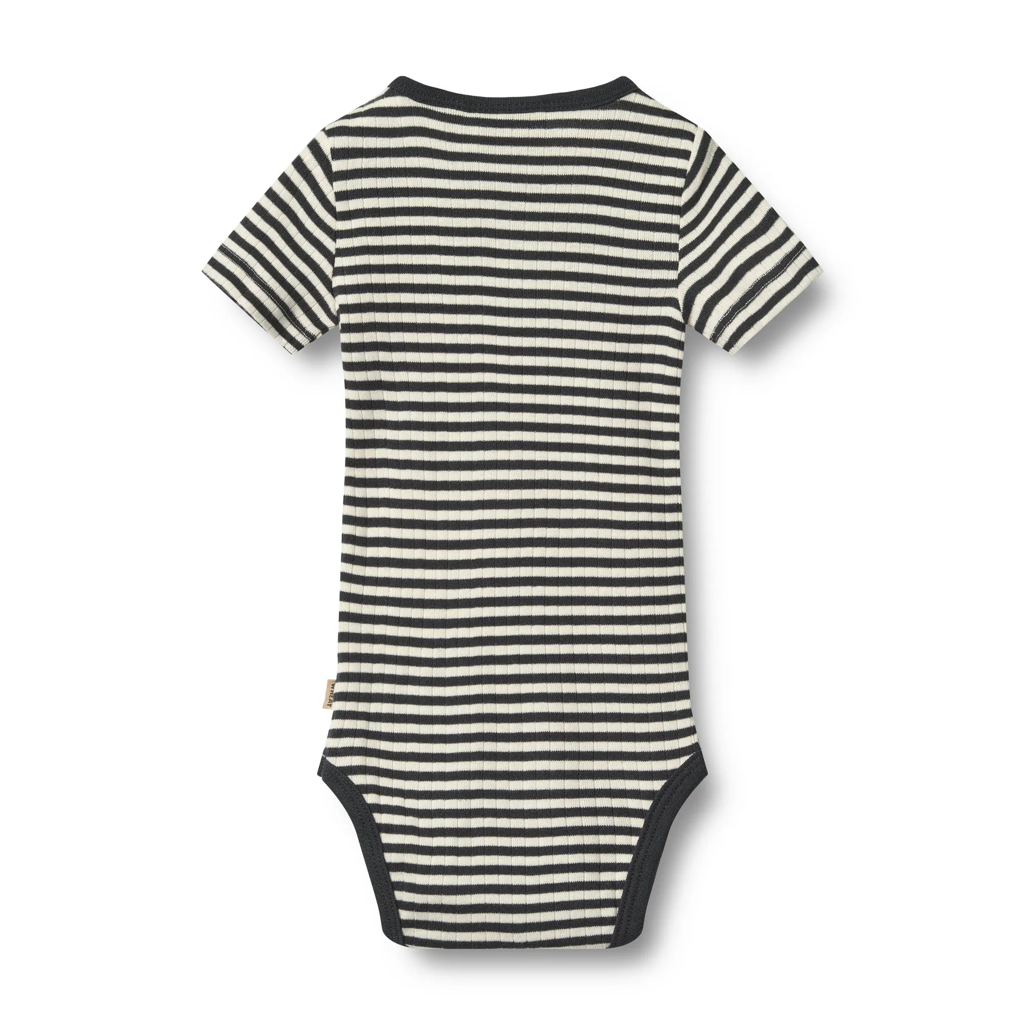 2 Rib Body Timo