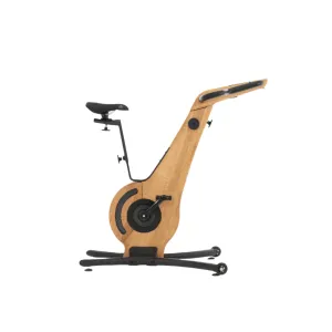 Bike Indoor Cycle