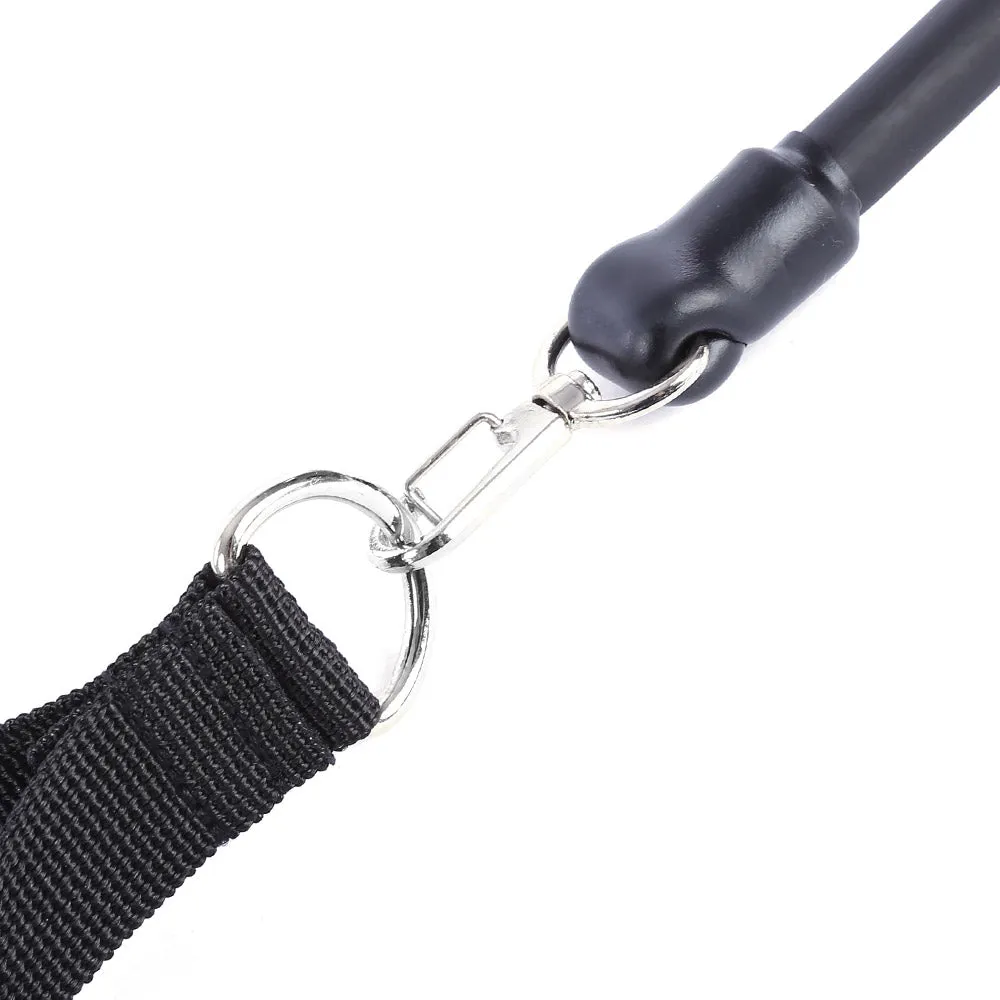 FULL BODY Workout Resistance Bands
