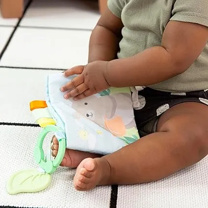 Ingenuity Soft Book - Nate