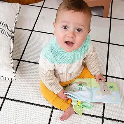 Ingenuity Soft Book - Nate
