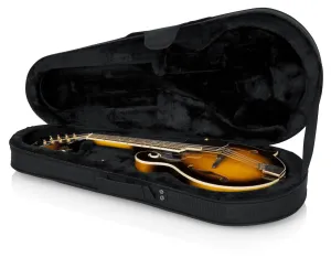 Lightweight Case for Mandolins