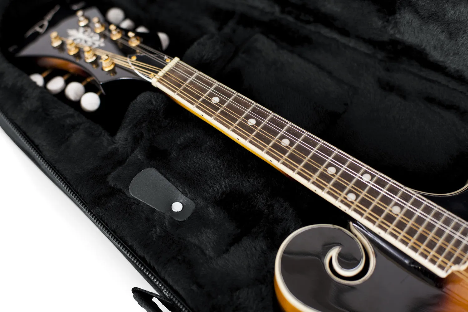Lightweight Case for Mandolins