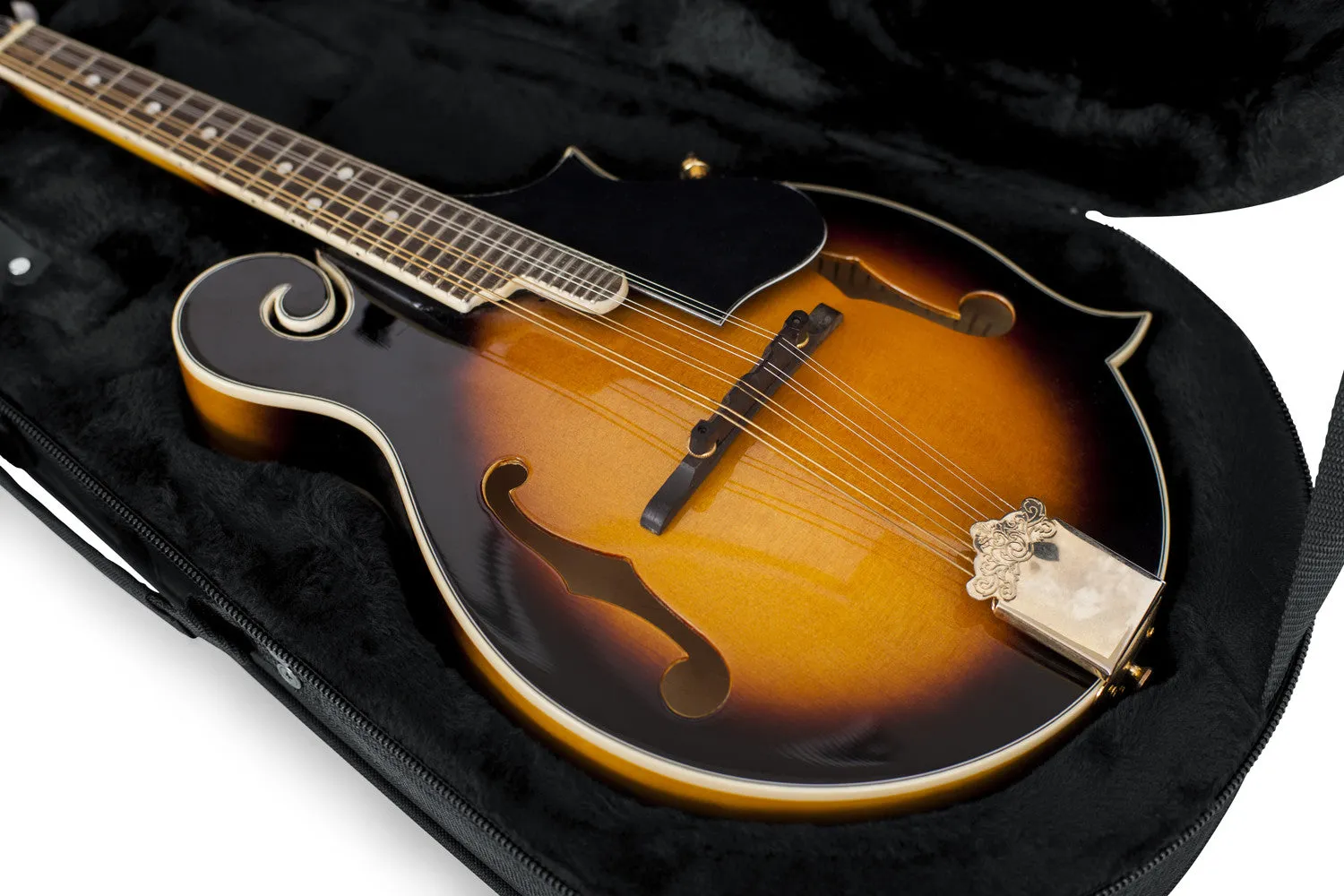Lightweight Case for Mandolins