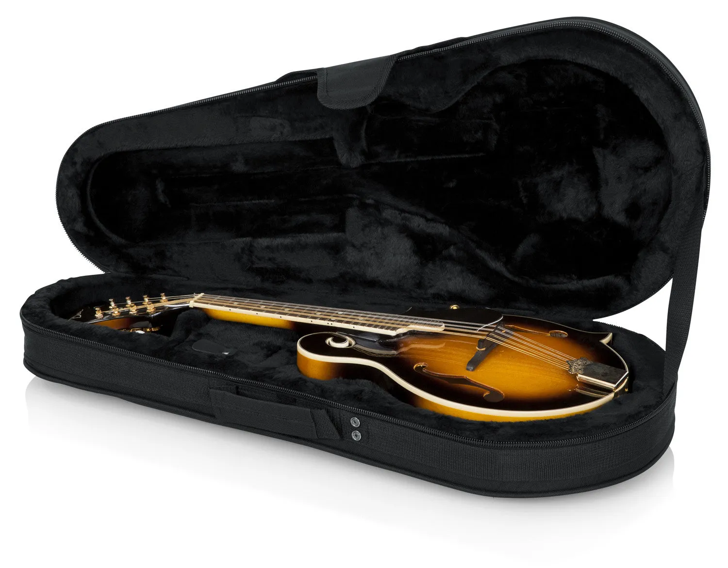 Lightweight Case for Mandolins