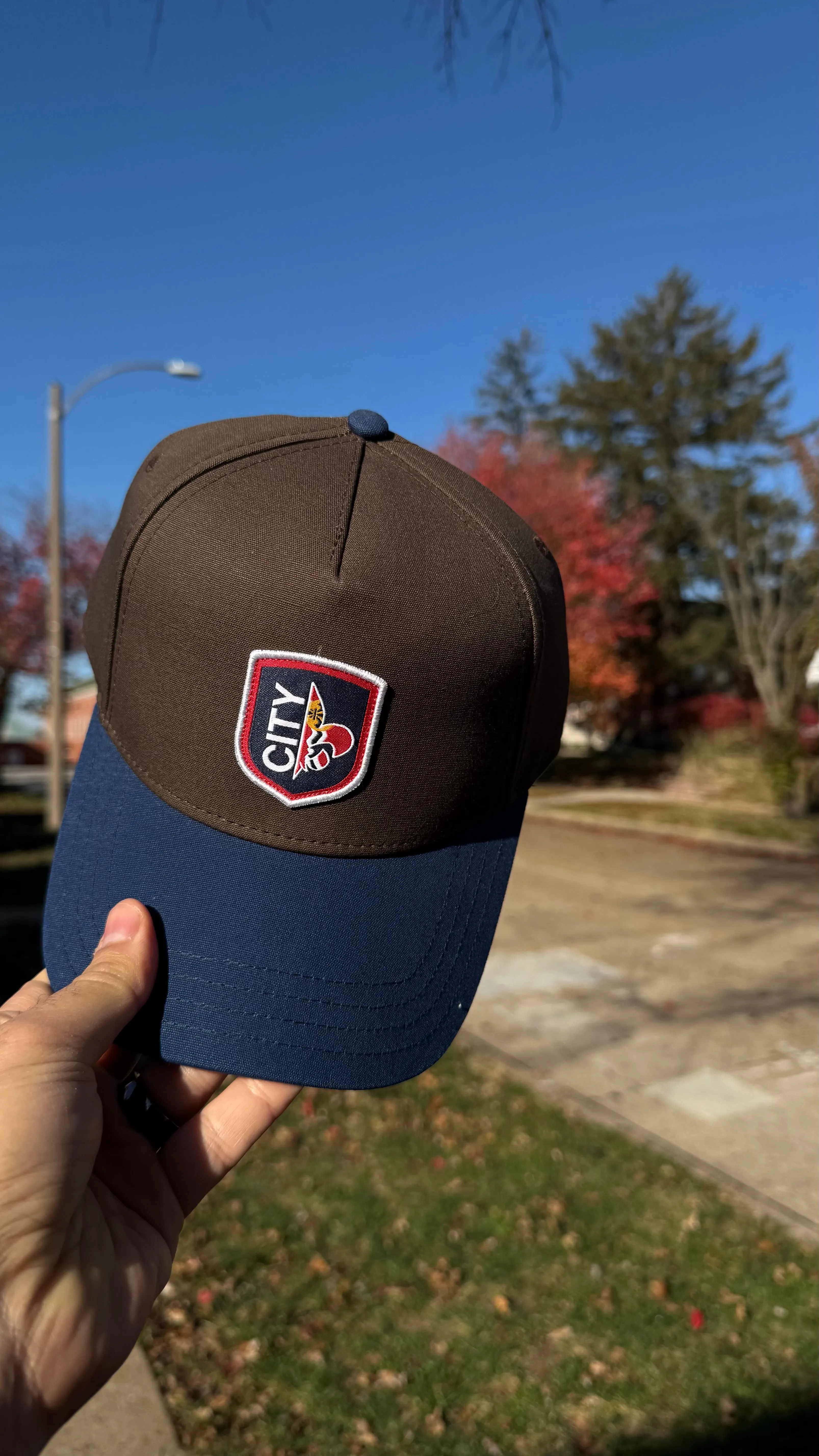 Organic 5 Panel CITY Snapback