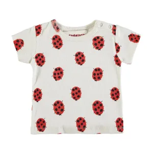 Organic Cotton Lady Bug T-shirt