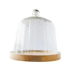 Recycled Glass Cloche