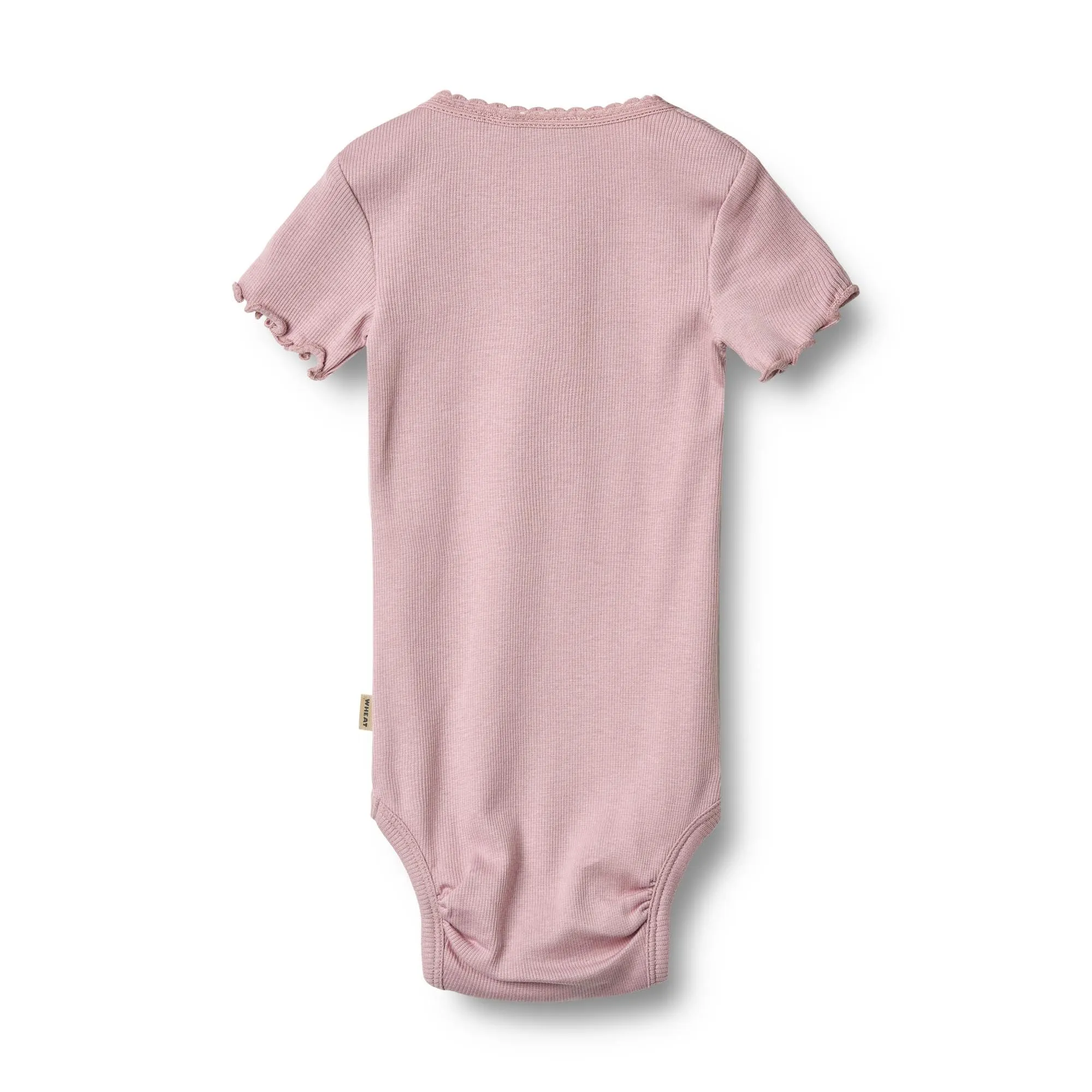 Rib Body Edna
