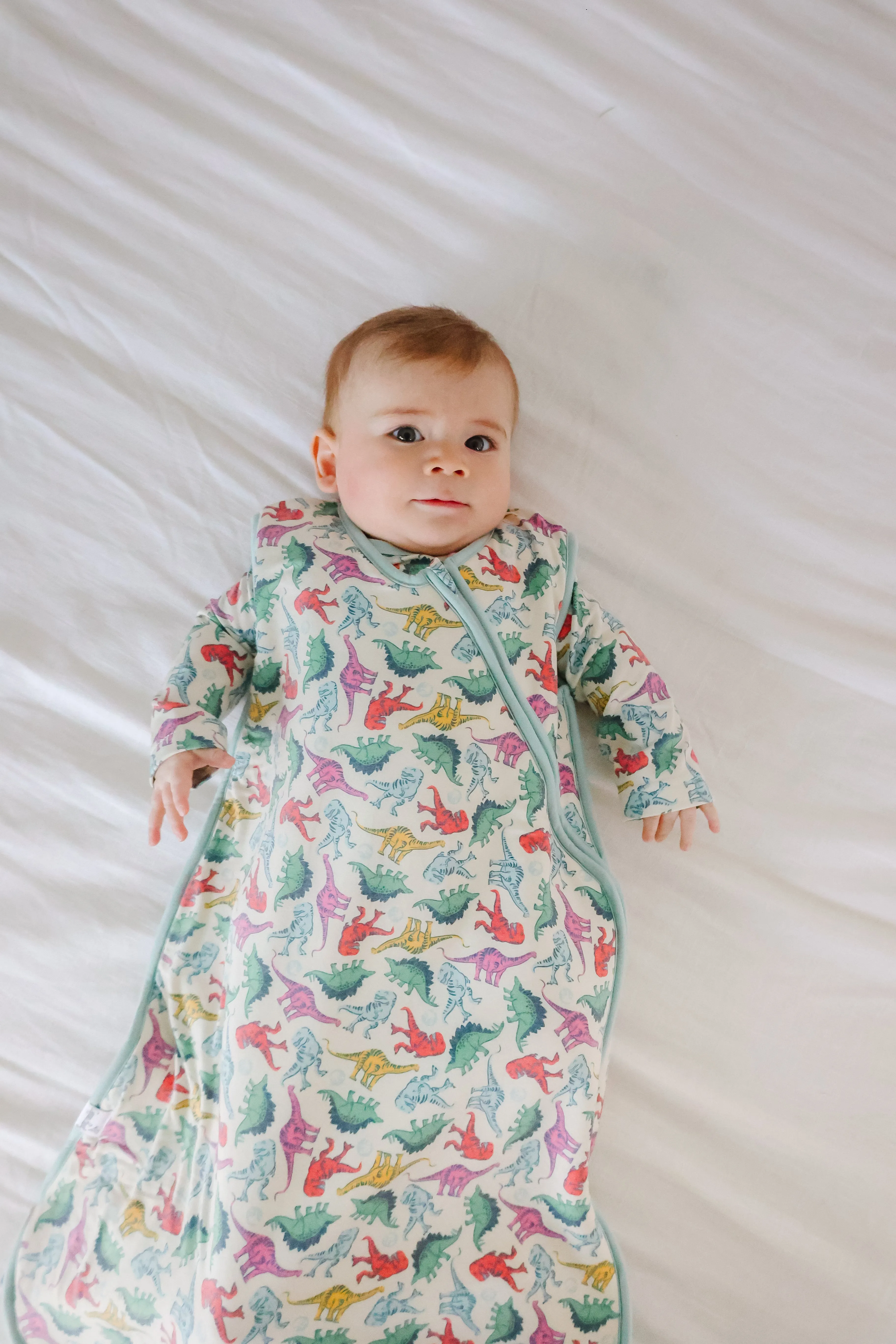 Sleep Bag - Dinosaurs of Jurassic Park