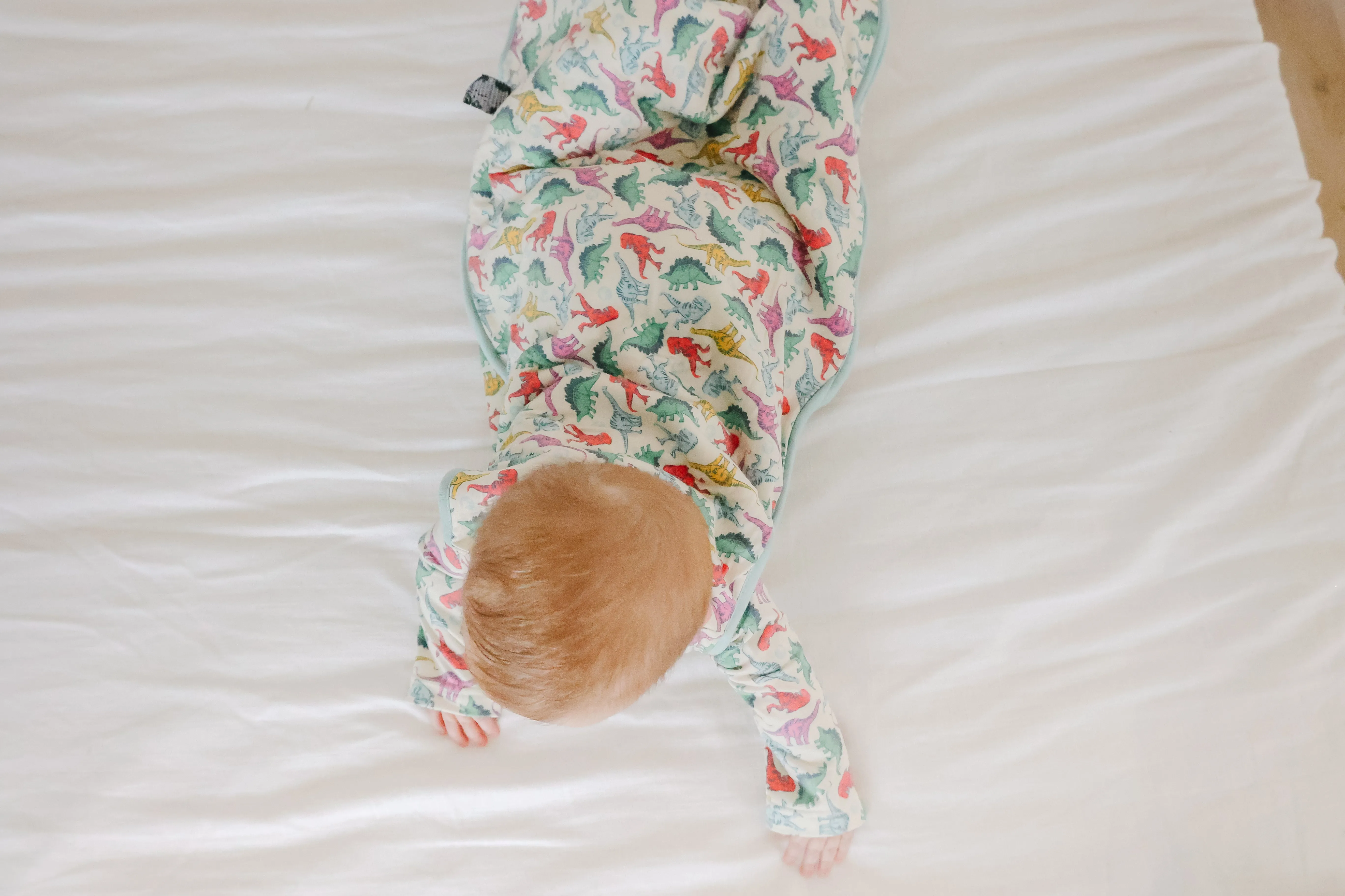 Sleep Bag - Dinosaurs of Jurassic Park