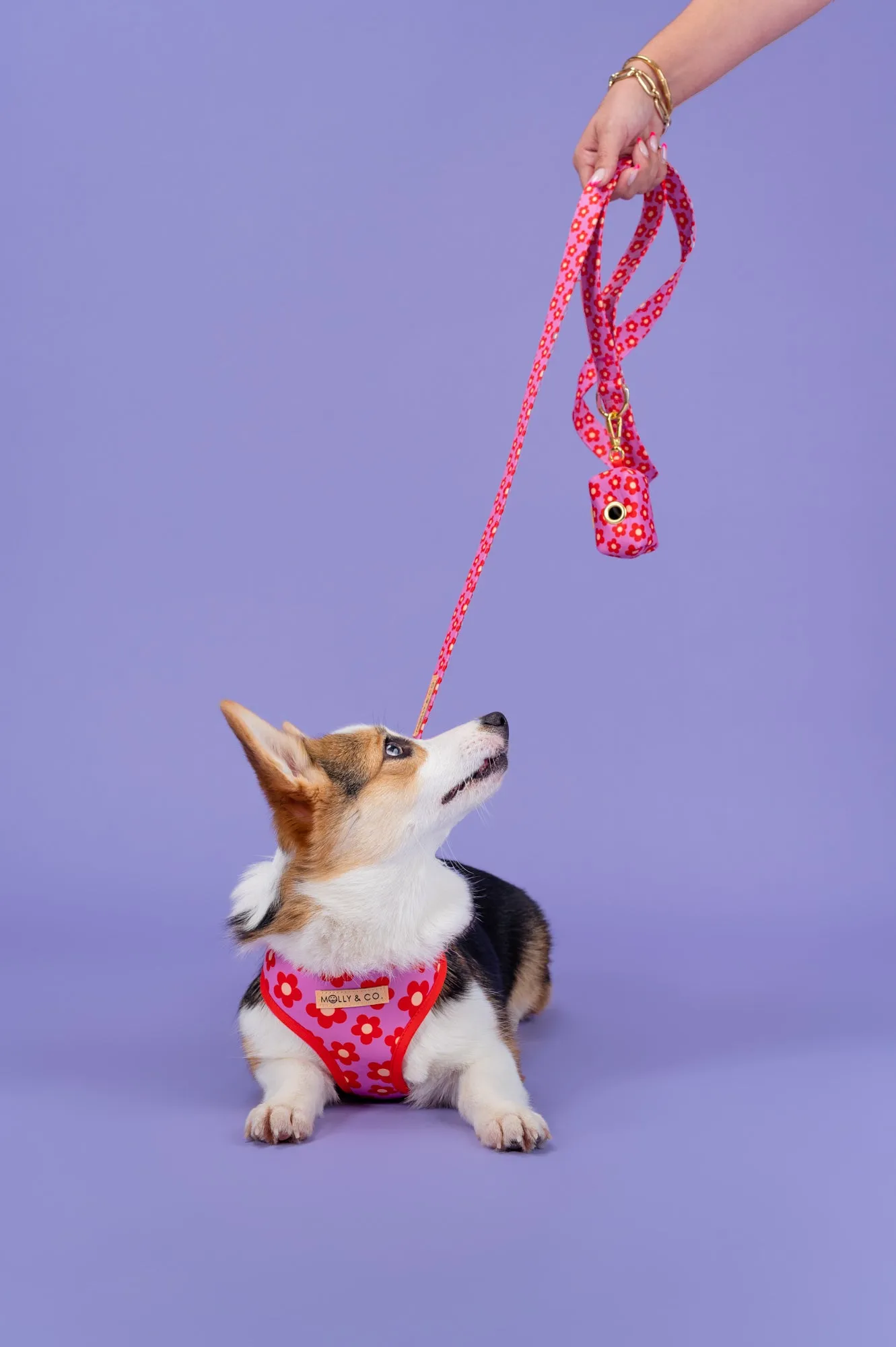 Wildflower - Dog Poop Bag Holder
