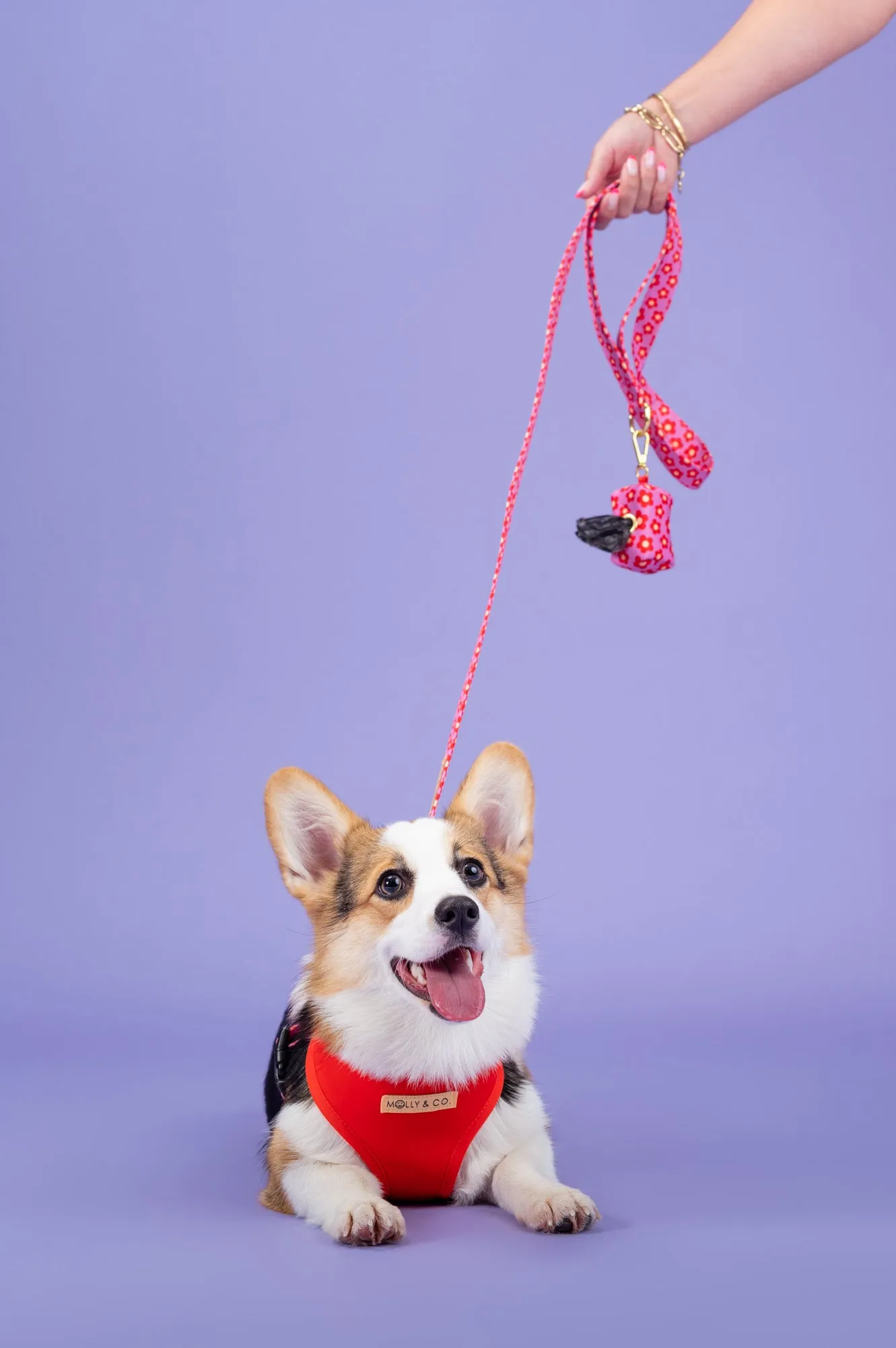 Wildflower - Dog Poop Bag Holder
